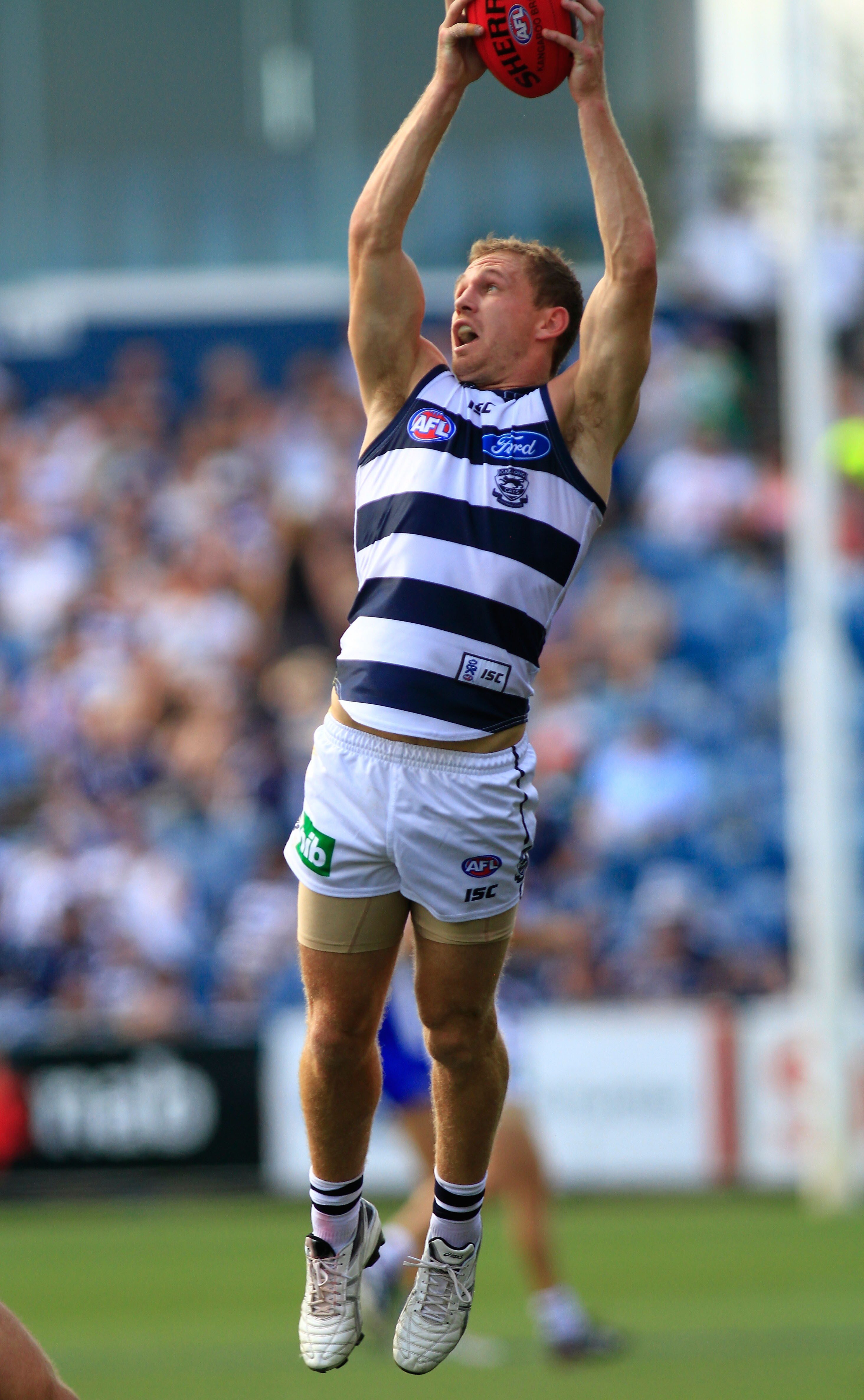 Season preview Geelong